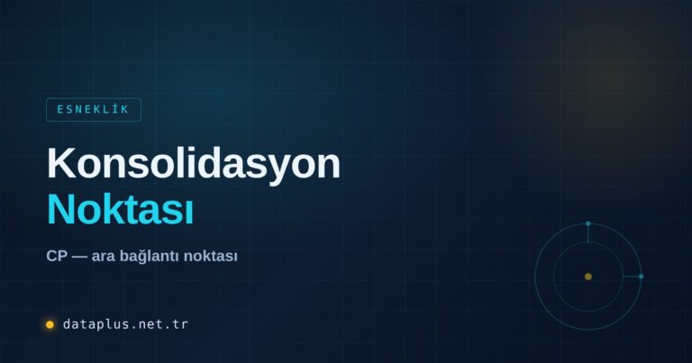 Konsolidasyon Noktası (CP) Nedir
