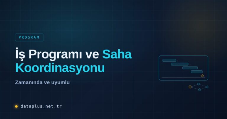 İş Programı ve Saha Koordinasyonu