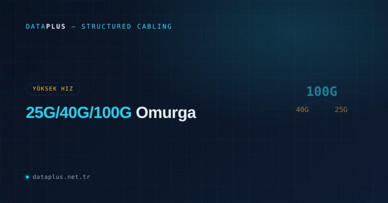 25G, 40G ve 100G: Yüksek Hız Omurga